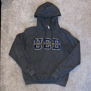 Champion Dark Gray UC Davis Hoodie